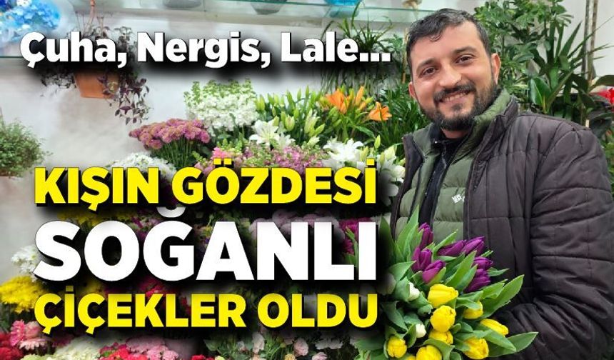 Çuha, Nergis, Lale… Kışın gözdesi soğanlı çiçekler oldu