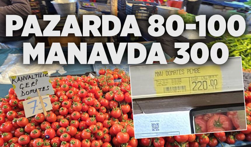 Pazarda 80-100 Manavda 300
