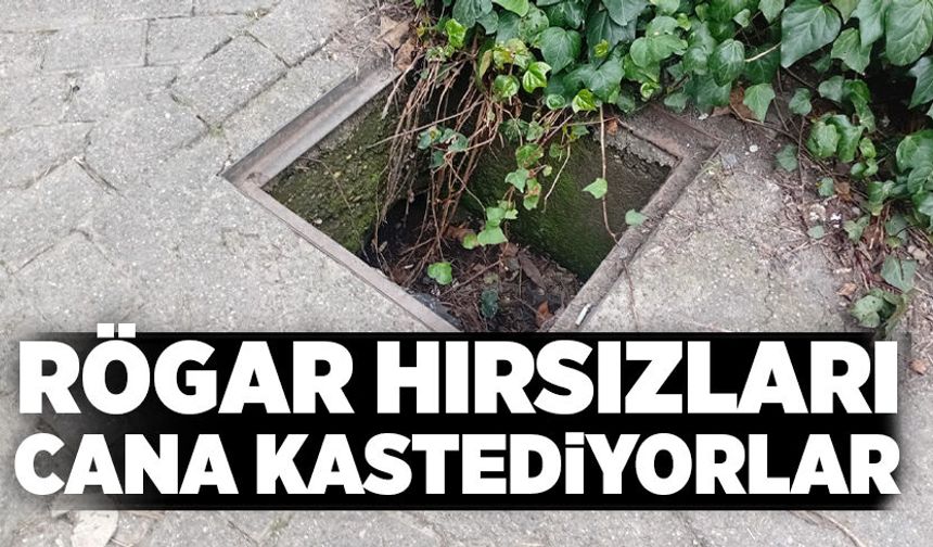 Rögar hırsızları cana kastediyorlar