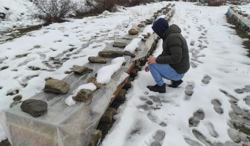 Türkiye Birincisi Arıların Sırrı: Mereto Dağı’nda Nöbet Tutuyor!