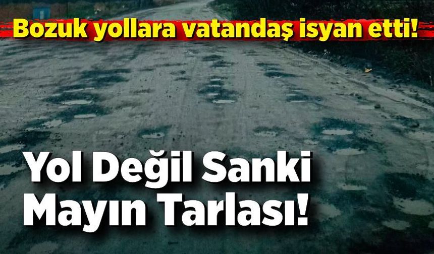 Yol Değil Sanki Mayın Tarlası! Alaplı’da Vatandaş İsyanda