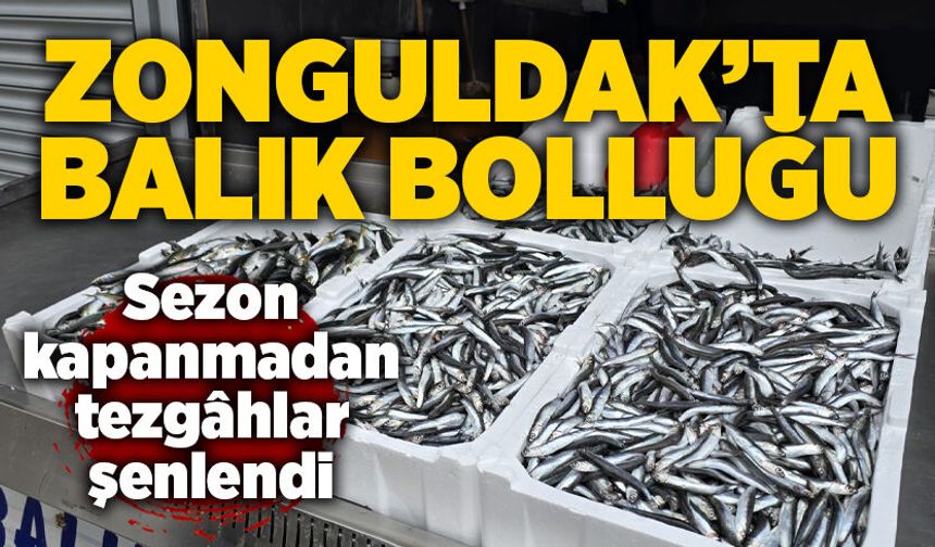 Zonguldak’ta balık bolluğu: Sezon kapanmadan tezgâhlar şenlendi