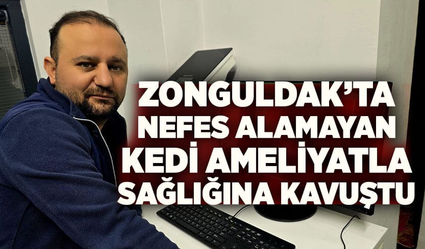Zonguldak’ta nefes alamayan kedi ameliyatla sağlığına kavuştu