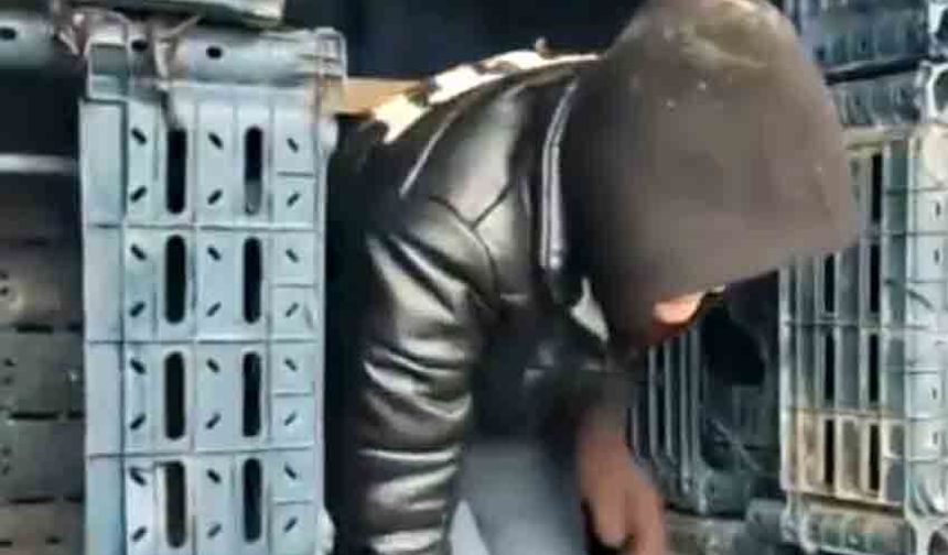 7 düzensiz göçmen yakalandı