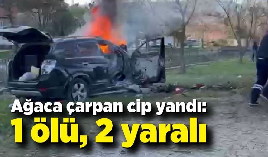 Ağaca çarpan cip yandı: 1 ölü, 2 yaralı