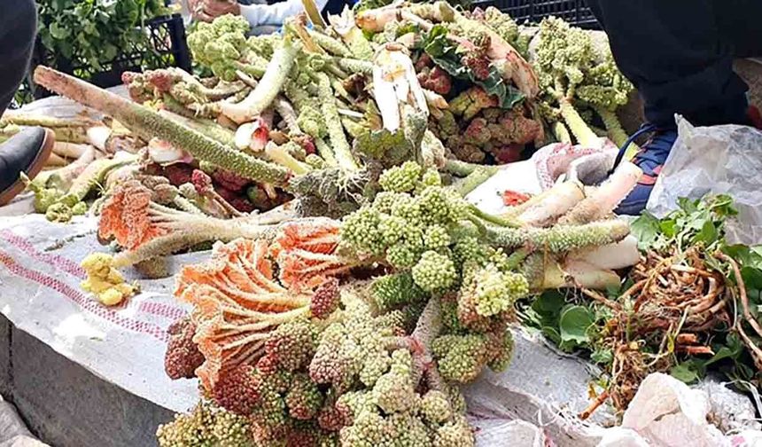 Elazığ'da bahar otları tezgahlarda yerini aldı