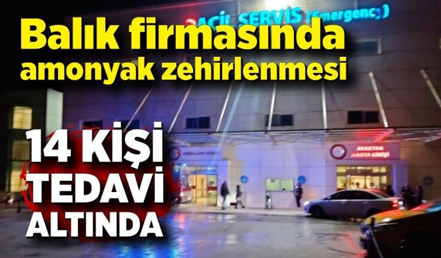 Balık firmasında amonyak zehirlenmesi: 14 kişi hastaneye kaldırıldı