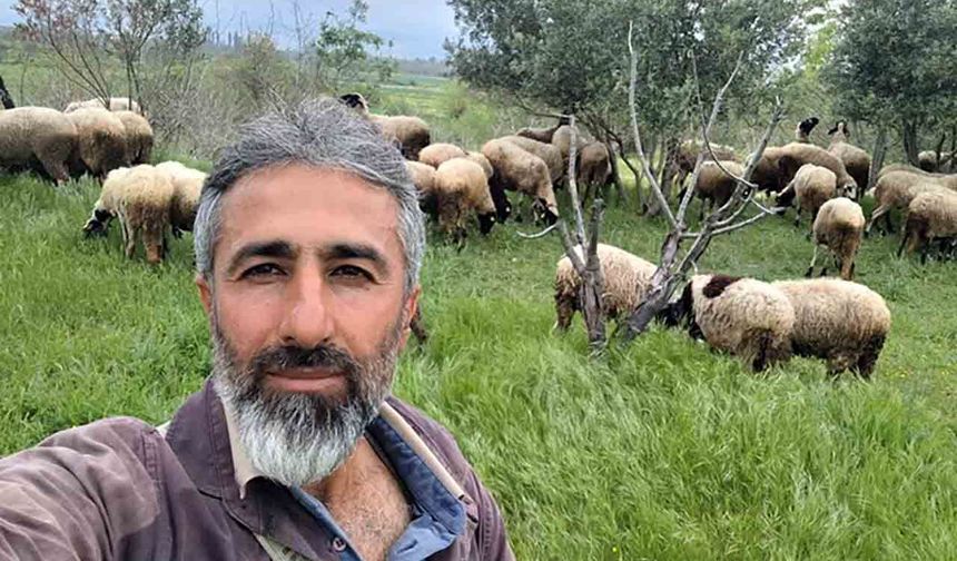 Ceşme sakızı ile Fransız koçunu birleştirdi, verimi katladı