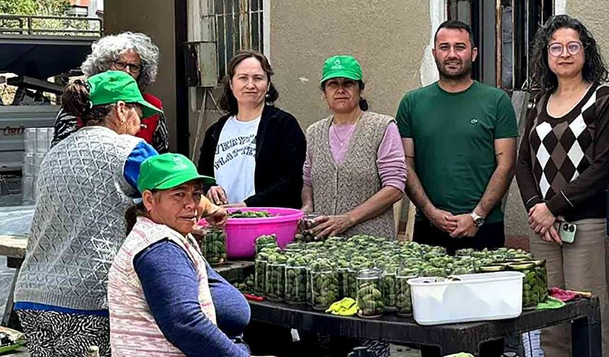 Datça’da çağla bereketi: Kadınlar üretime damga vurdu