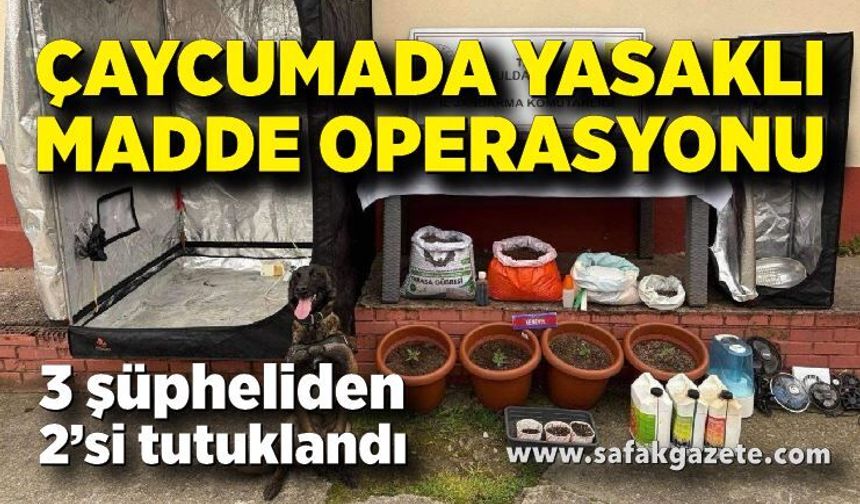 Çaycuma’da Yasaklı Madde Operasyonu: 2 Kişi Tutuklandı
