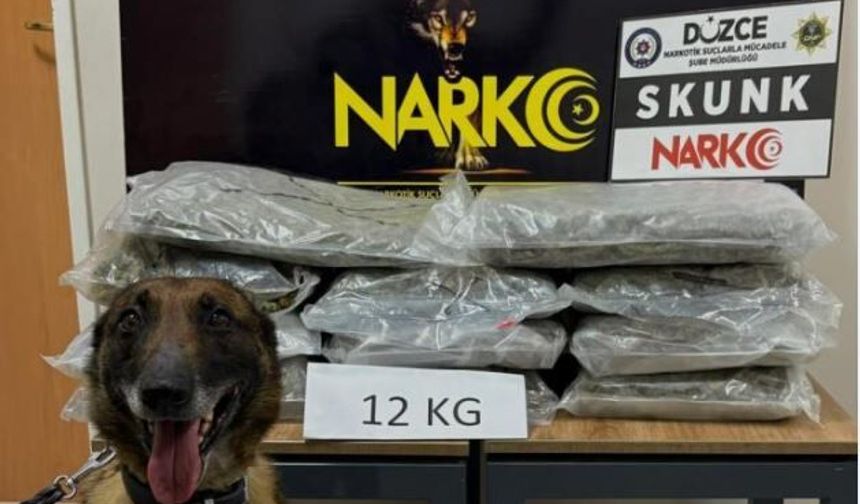 İstanbul’dan Ankara’ya uyuşturucu götürüyordu, Düzce’de yakalandı