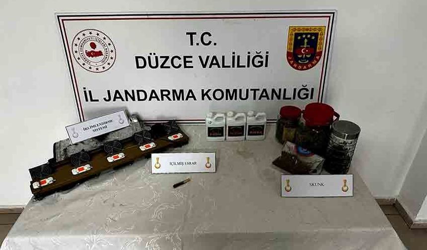 Evlerine kenevir bahçesi kurmuşlar: 2 kardeşe suçüstü