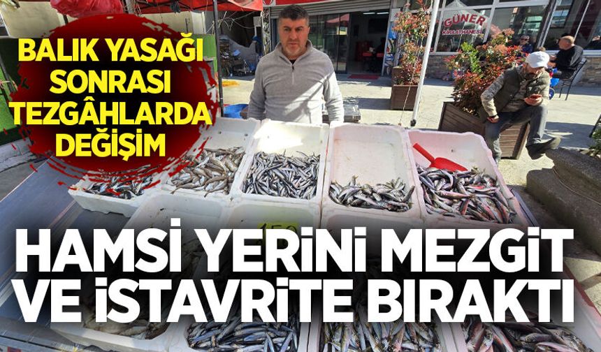 Balık yasağı sonrası tezgâhlarda değişim: Hamsi yerini mezgit ve istavrite bıraktı