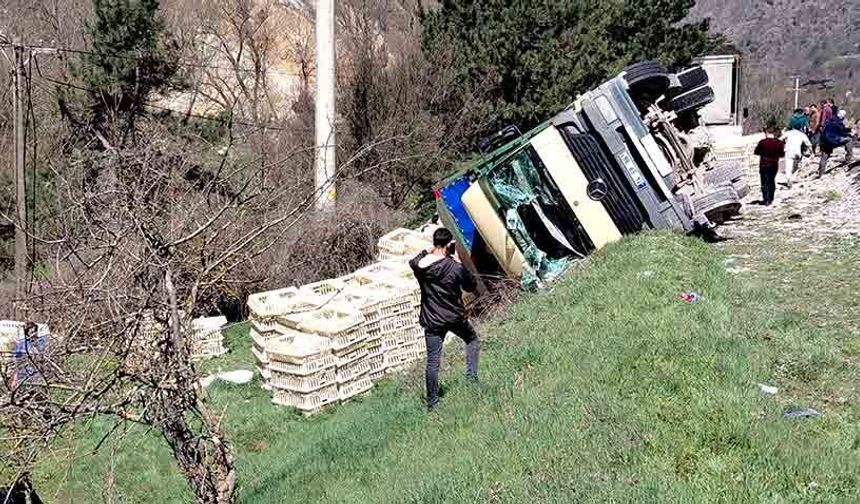 Kamyon virajı alamayarak devrildi: Sürücü kurtuldu, tavuklar telef oldu