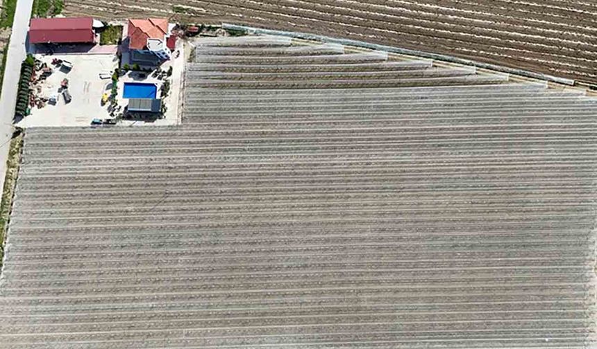 Kadın girişimciden tarımda akılcı çözüm