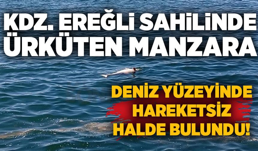 Kdz. Ereğli sahilinde ürküten manzara: Deniz yüzeyinde hareketsiz halde bulundu!
