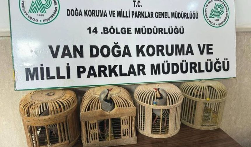 Keklik avlayan şahsa 86 bin 278 lira para cezası