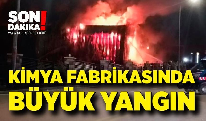 Kimya fabrikasında büyük yangın