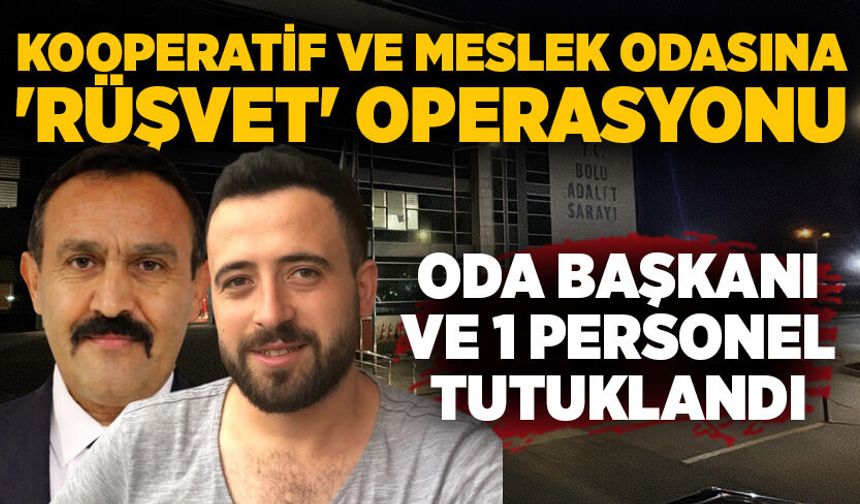 Kooperatif ve meslek odasına 'rüşvet' operasyonu: Oda başkanı ve 1 personel tutuklandı