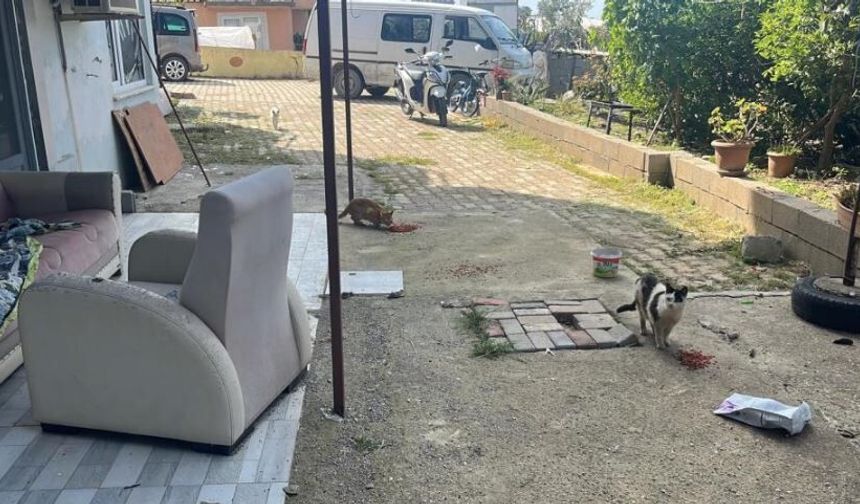 Alanya’da hayvanların tutulduğu evde gerginlik: 2 gözaltı