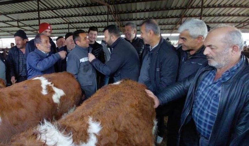 Kurban pazarlarında erken hareketlilik başladı