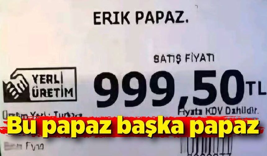 Bu papaz başka papaz