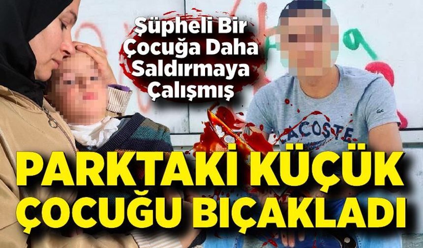 Parkta 2 yaşındaki çocuğa bıçakla saldıran şüpheli tutuklandı