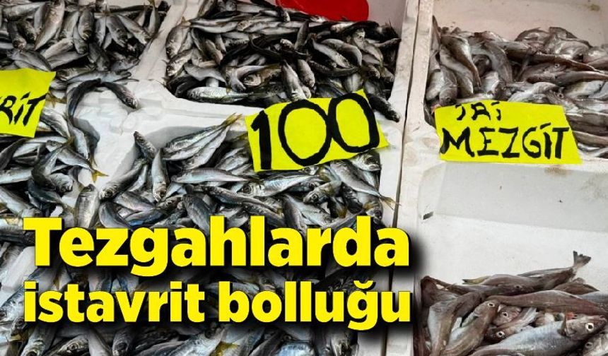 Zonguldak'ta tezgahlarda istavrit bolluğu: Kilosu 100 liradan satılıyor