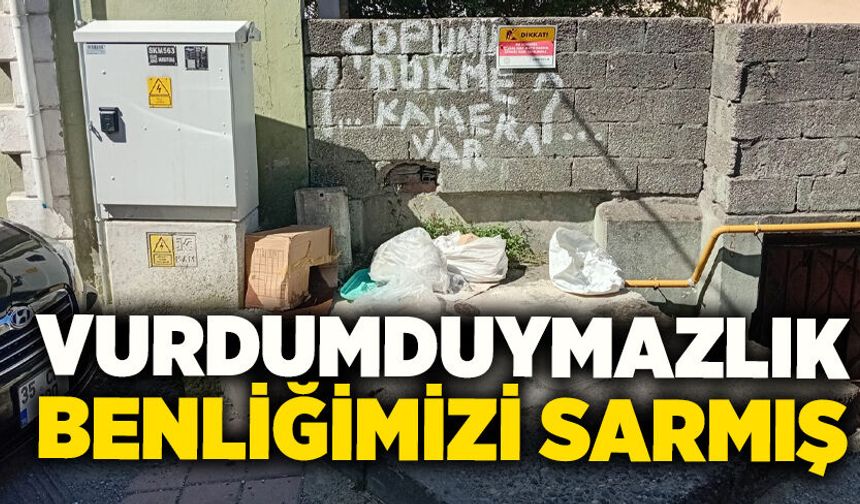 Vurdumduymazlık benliğimizi sarmış