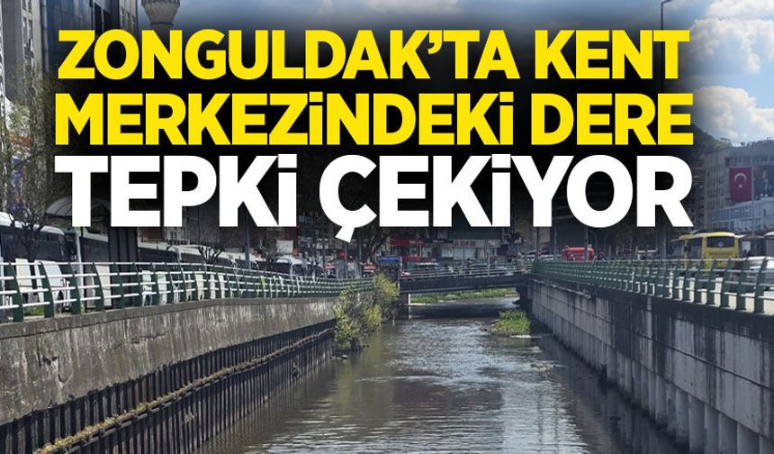 Zonguldak’ta kent merkezindeki dere tepki çekiyor
