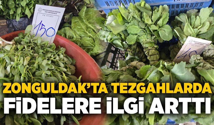 Zonguldak’ta tezgahlarda fidelere ilgi arttı