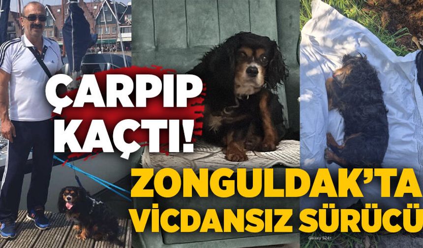 Zonguldak’ta vicdansız araç sürücüsü çarpıp kaçtı!