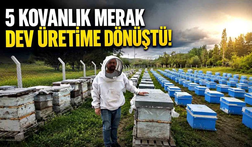 5 kovanla başladı, şimdi 250 kovana ulaştı