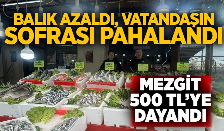 Balık azaldı, vatandaşın sofrası pahalandı: Mezgit 500 TL’ye dayandı