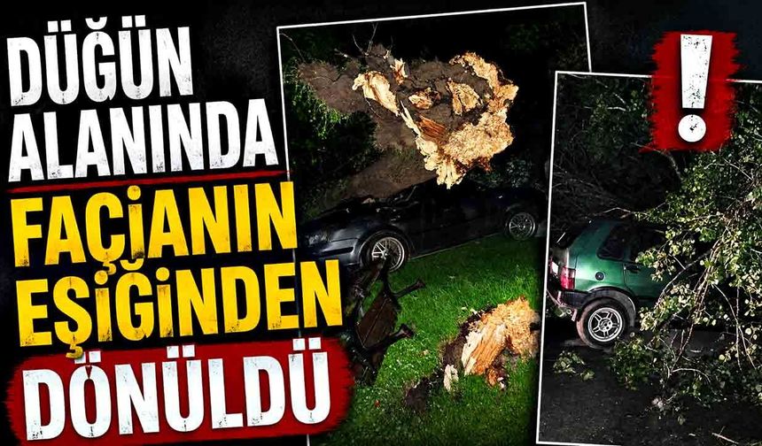 Bartın'da şiddetli fırtına: ağaçlar Otomobillerin üzerine devrildi