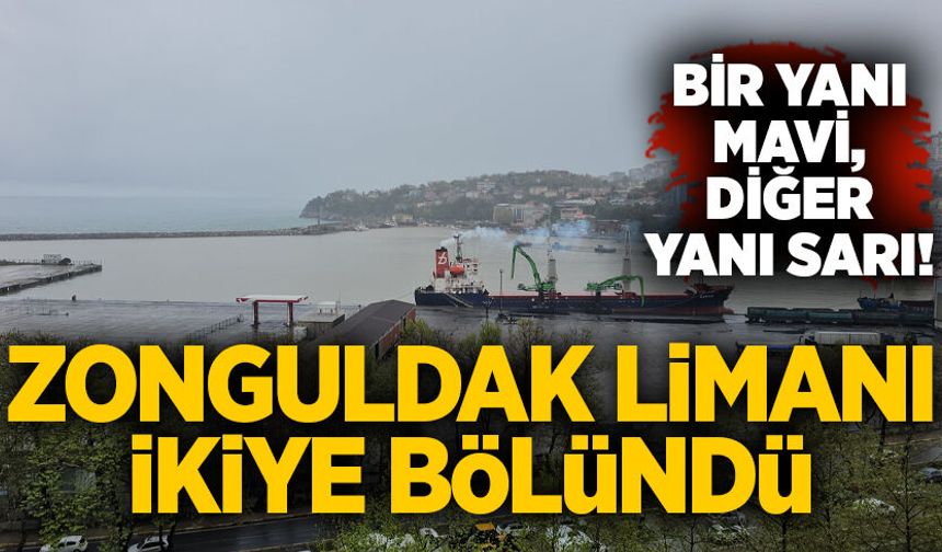 Zonguldak limanı ikiye bölündü: Bir yanı mavi, diğer yanı sarı!