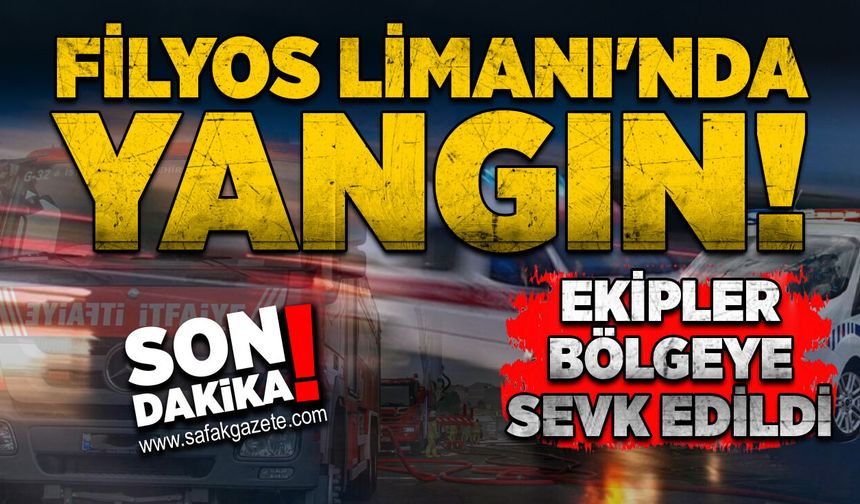 Filyos Limanı'nda yangın! Ekipler bölgeye sevk edildi