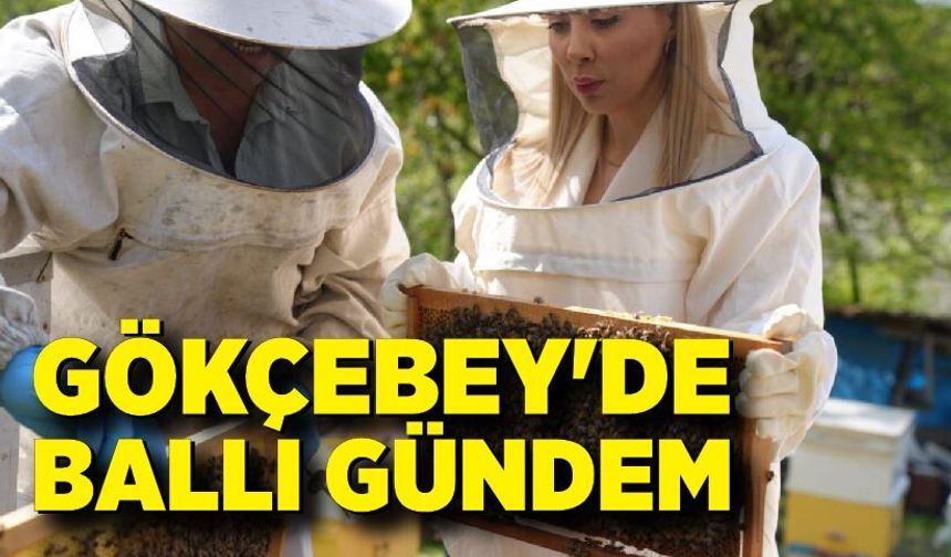 Gökçebey'de Ballı Gündem