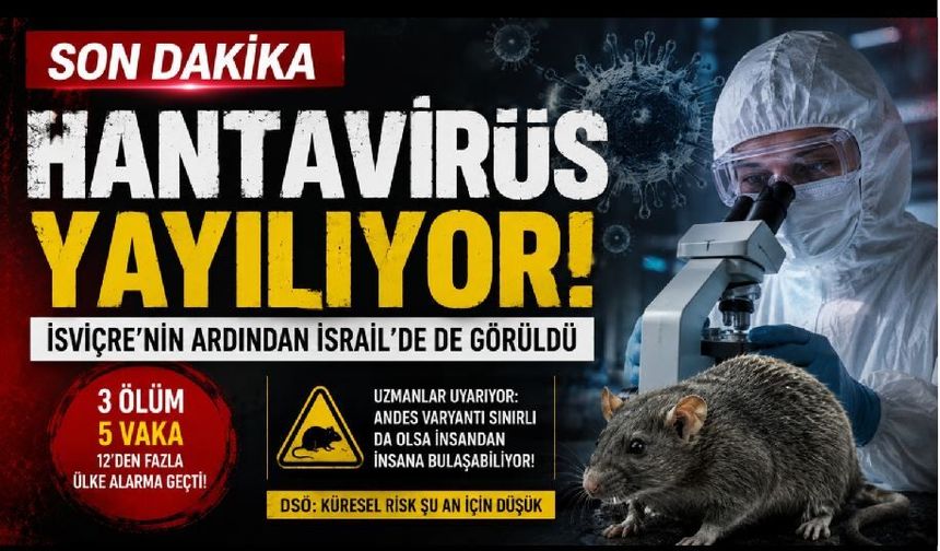 Dünyada Hantavirüs Alarmı Büyüyor