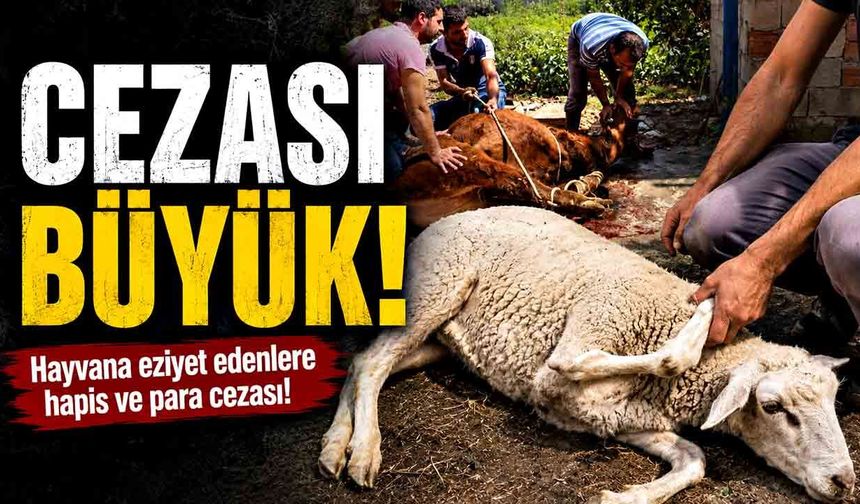 Cezası büyük!