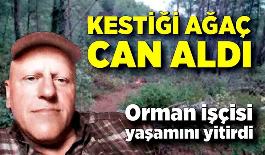 Kestiği ağacın altında kalan işçi hayatını kaybetti