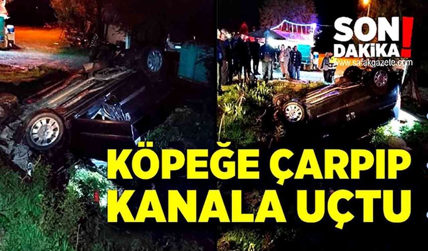Köpeğe çarpan otomobil kanala uçtu: 2 yaralı
