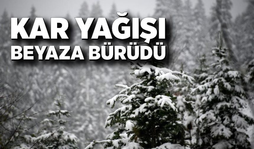 Kar yağışı beyaza bürüdü