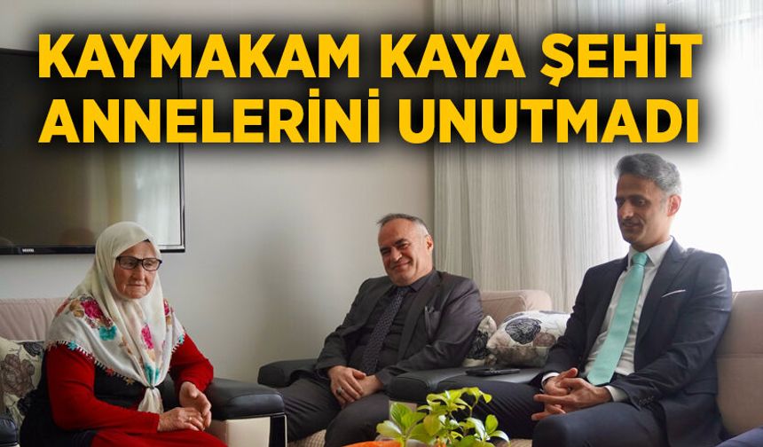 Kaymakam Kaya şehit annelerini unutmadı