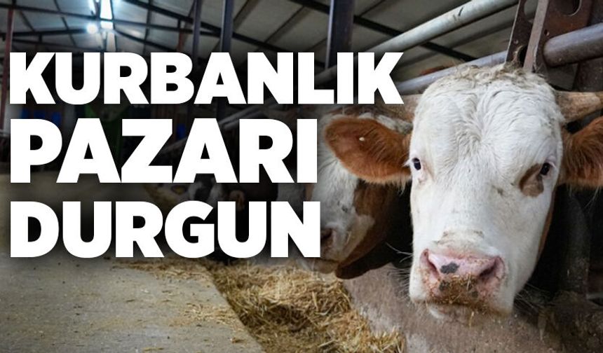 Kurbanlık pazarı durgun