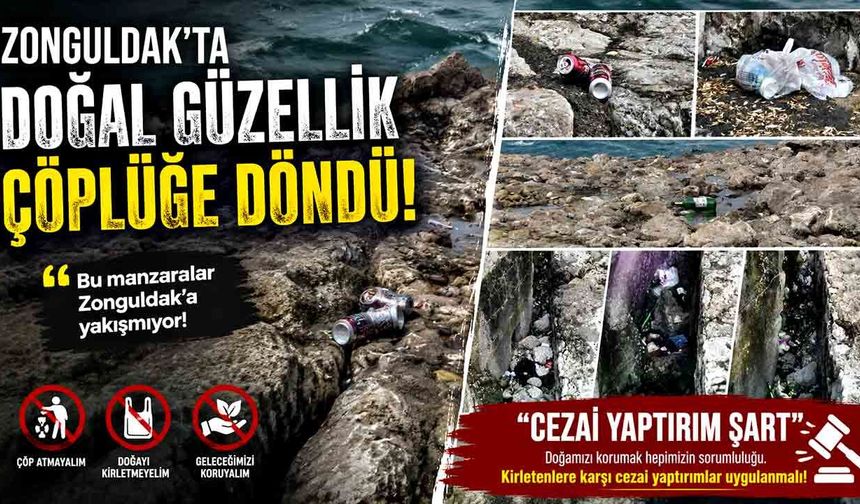 Zonguldak’ta Doğal Güzellik Çöplüğe döndü! "Cezai Yaptırım Şart"