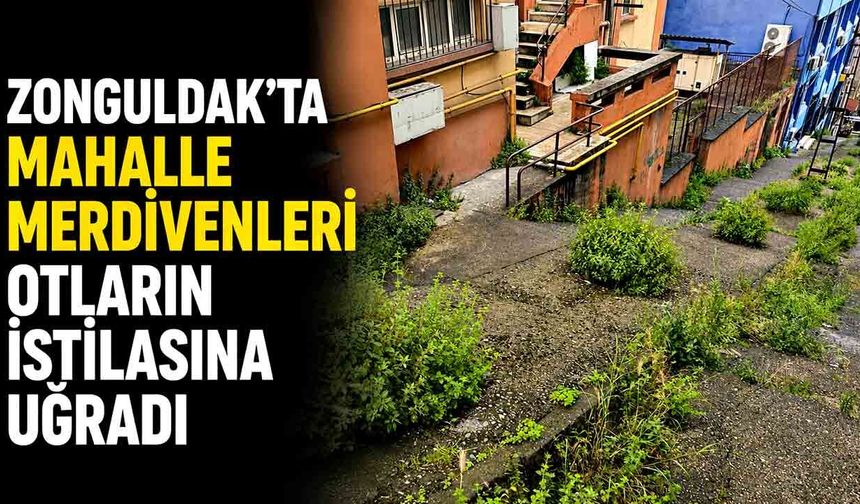Zonguldak'ta Çarşının Göbeği Ormana Döndü!