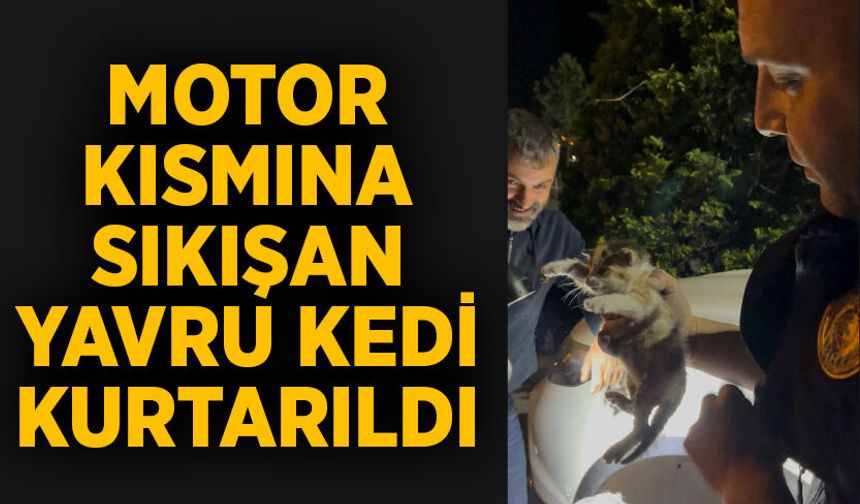 Motor Kısmına Sıkışan Yavru Kedi Kurtarıldı