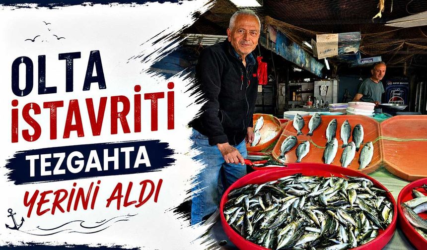 Olta İstavriti Tezgahta yerini aldı