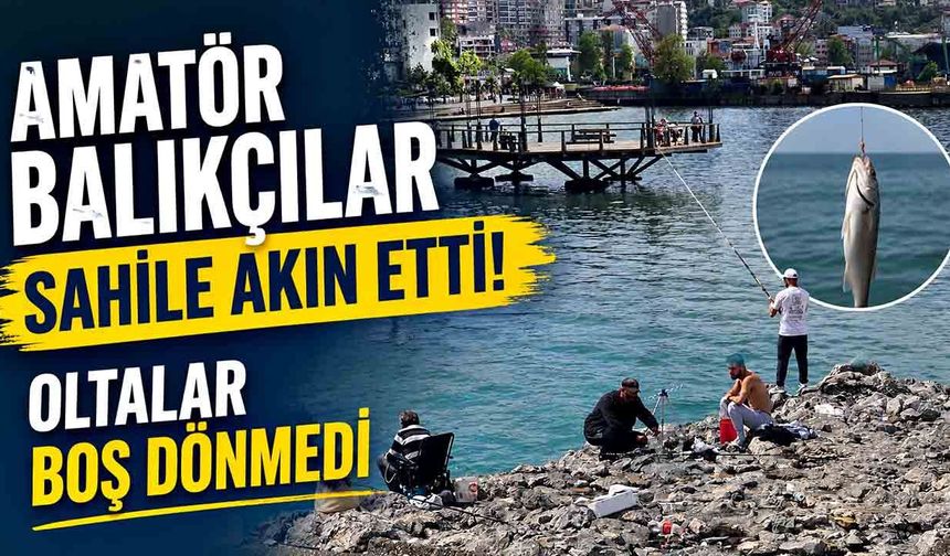 Amatör Balıkçılar Sahile Akın Etti: Oltalar Boş Dönmedi